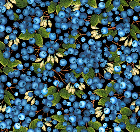 BLUEBERRIES 27250-J Black