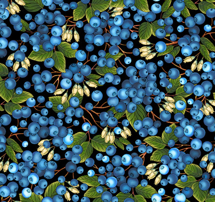 BLUEBERRIES 27250-J Black