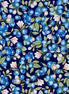 Favorite BLUBERRIES N