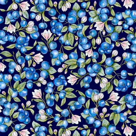 Favorite BLUBERRIES N