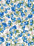 Favorite BLUBERRIES  29401 Z