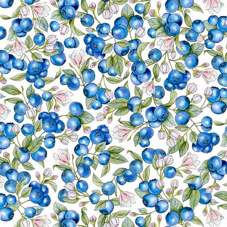 Favorite BLUBERRIES  29401 Z