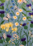 Springtime Wildflowers Sky