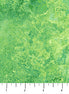 STONEHENGE BASICS Shamrock