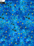 WildFlower Royal Blue