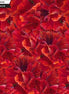 WildFlower Garnet Carnations