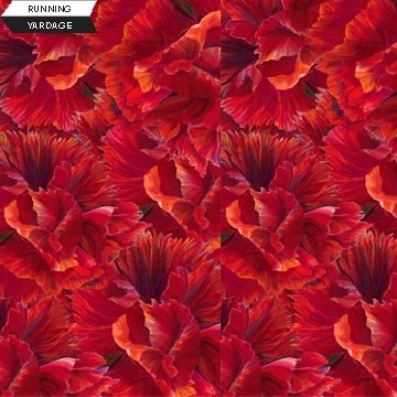 WildFlower Garnet Carnations