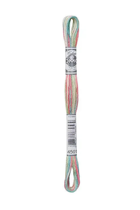 DMC Coloris Embroidery Thread #4501 Wildflowers
