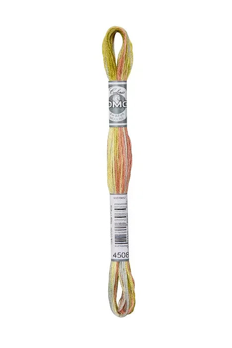 DMC Coloris Embroidery Thread #4508 Frosted Countryside