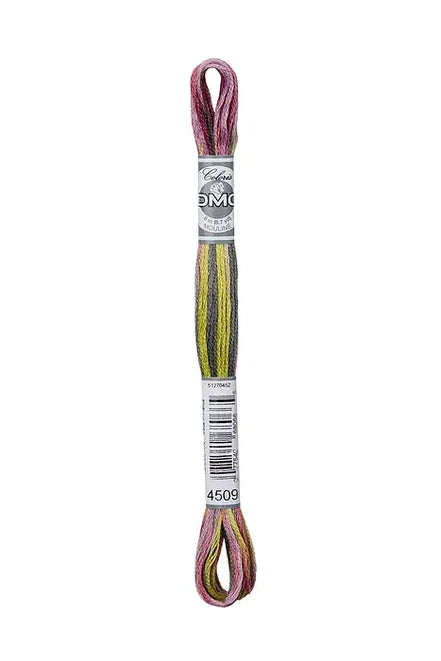 DMC Coloris Embroidery Thread #4509 Granite Coast