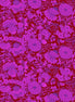 Sweet Talk Crimson Kim