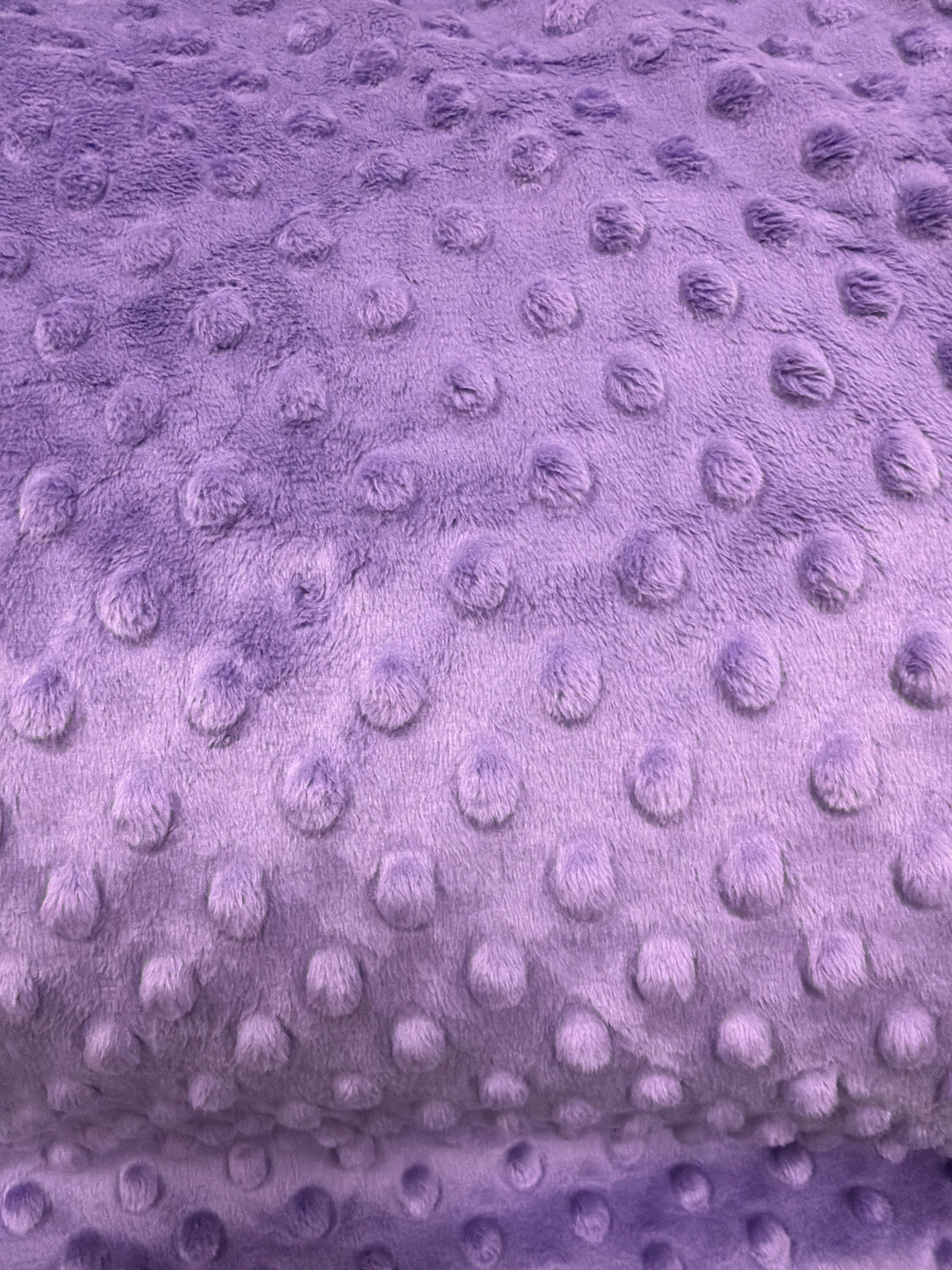 Minky Dots Purple SMD7581 58/60"