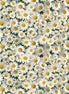 Landscape Melody White Daisies