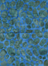 Puddles Ocean/Topaz