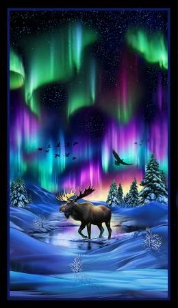 Aurora Northern Lights 24" Panels-Black