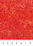 Arctic Fun Stars Fruit Punch