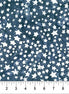 Arctic Fun Stars Stormy Weather