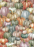 Tonight we Fly Citrus Pumpkin Patch