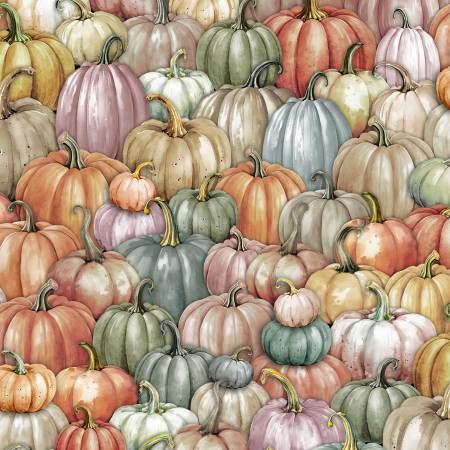 Tonight we Fly Citrus Pumpkin Patch