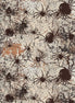 Scary Spice Spiders