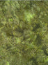 Hoffman Bali Chops 885-96 Olive