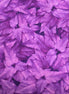 Tina's Garden digital Packed Leaves Dk Purple