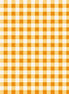 Haunted Acre Wood Orange Gingham