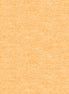 Cotton Shot Orange