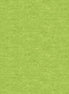 Cotton Shot Green 40
