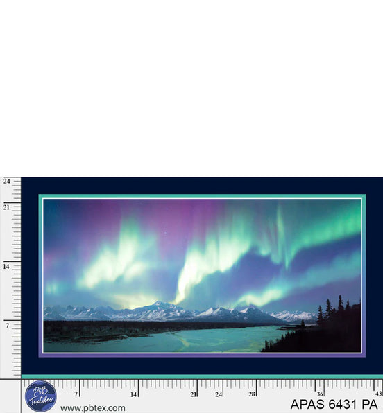 Aurora's Passage River of Light Panel 24" x 43"