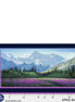 Aurora's Passage Field of Dreams Panel 24" x 43"