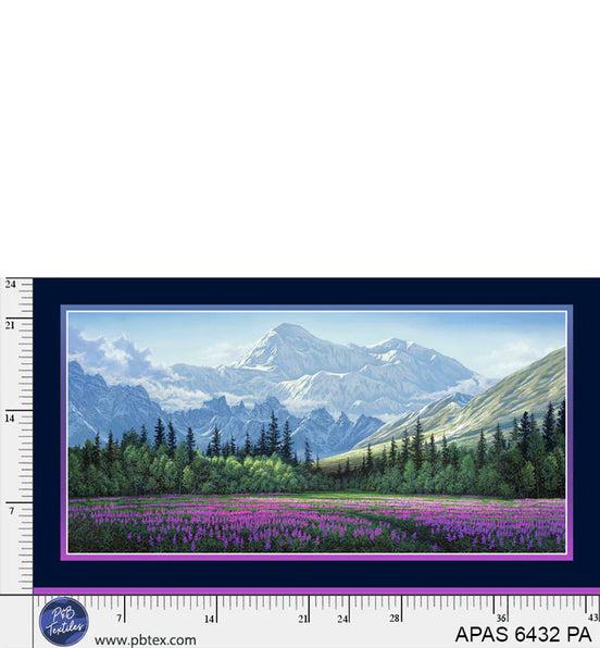 Aurora's Passage Field of Dreams Panel 24" x 43"