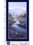 Aurora's Passage Great Land Passage Panel 24" x 43