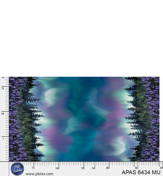 Aurora's Passage Northern Lights Double Border