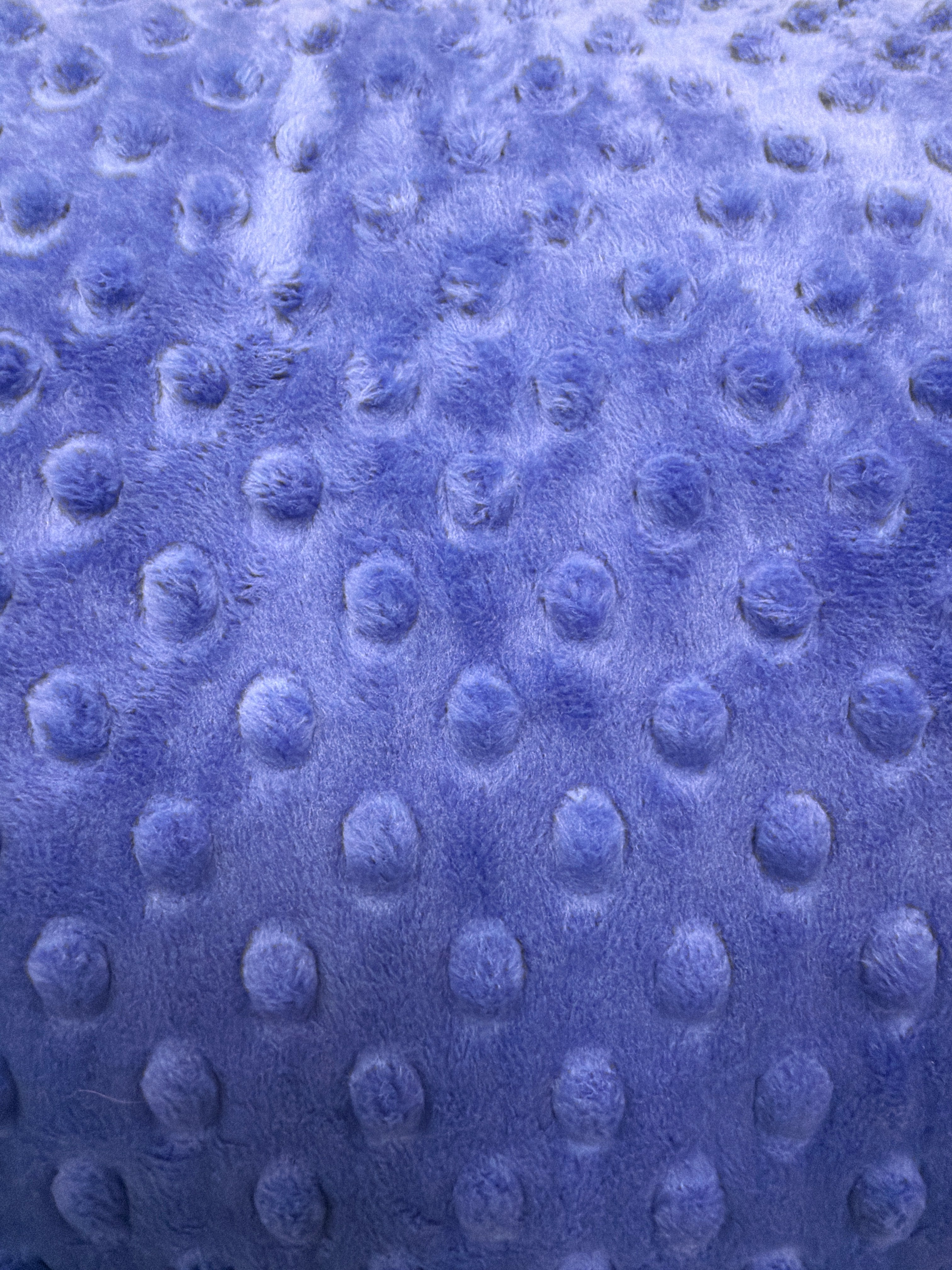 Minky Dots Royal Blue SMD7581 58/60