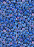 Bountiful Blueberries Large Overall Print