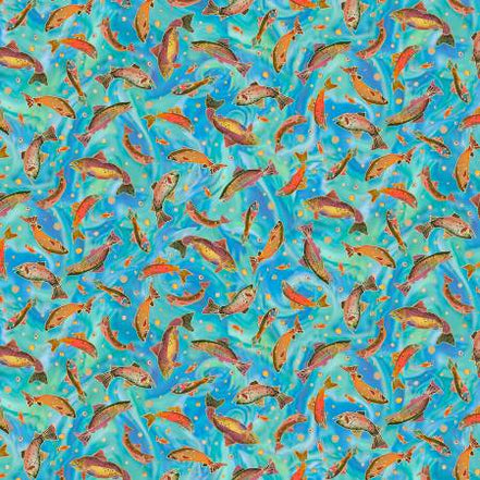 Bear In Mind Tossed Fish Teal