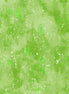Cosmos Apple Green