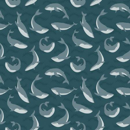 Alaska Blue Whales Coastal