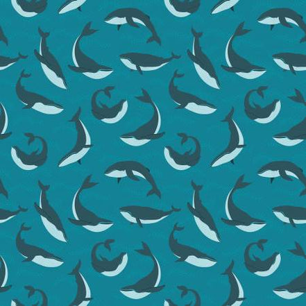 Alaska Blue Whales Deep Water