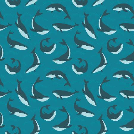 Alaska Blue Whales Deep Water