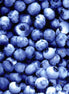 Blueberries