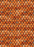 Roof Tiles Orange