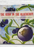 The Bear in the Blueberry