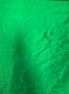 Silk Dupioni Fern