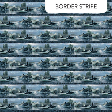Naturescapes Voyage Blue Multi Border Stripe
