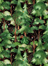 Who Lives In The Woods 726 Black