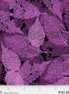 Foliage Violet
