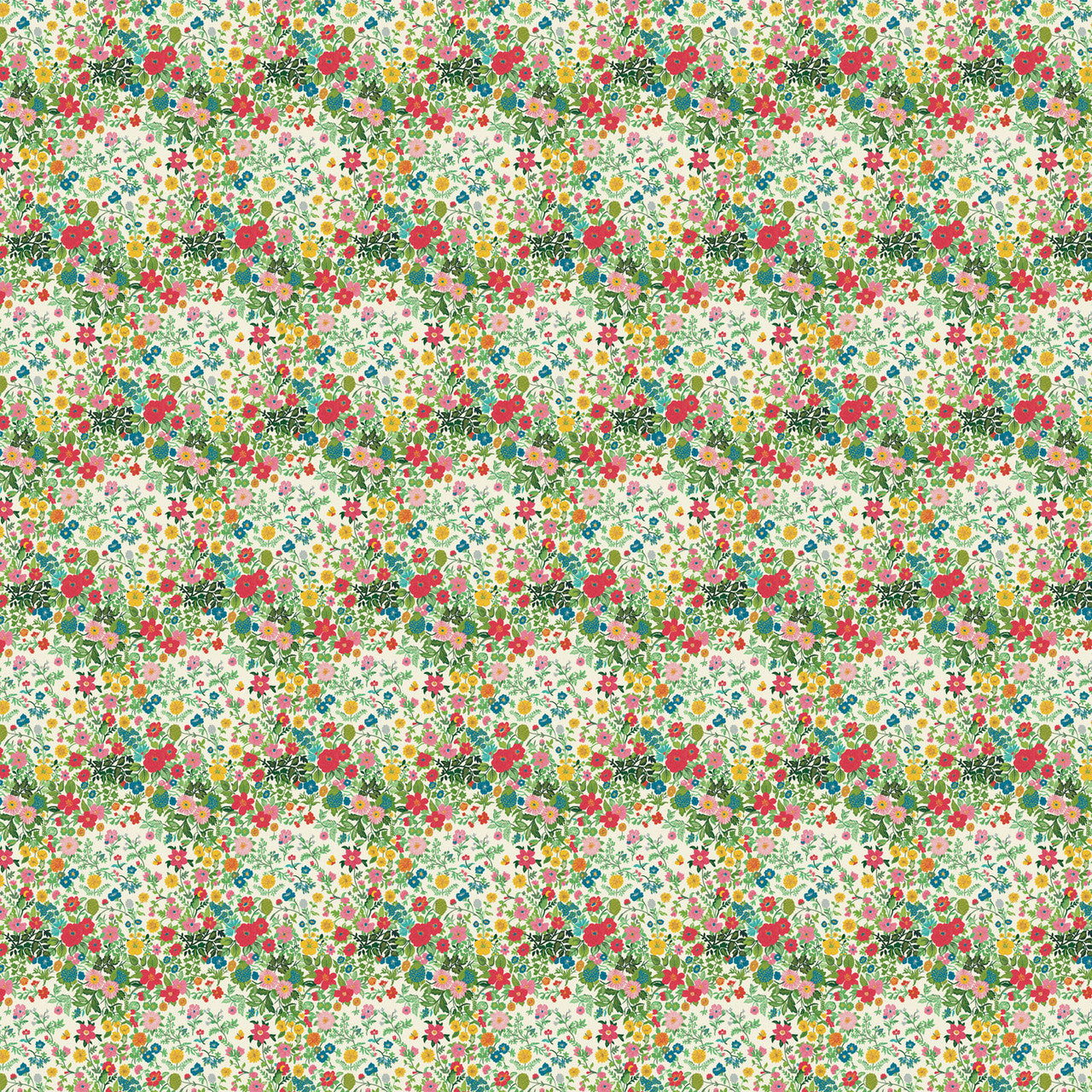 August Ellory Regency Rebel - Mixie