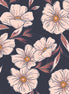 AGF Tinted Blooms Dusk